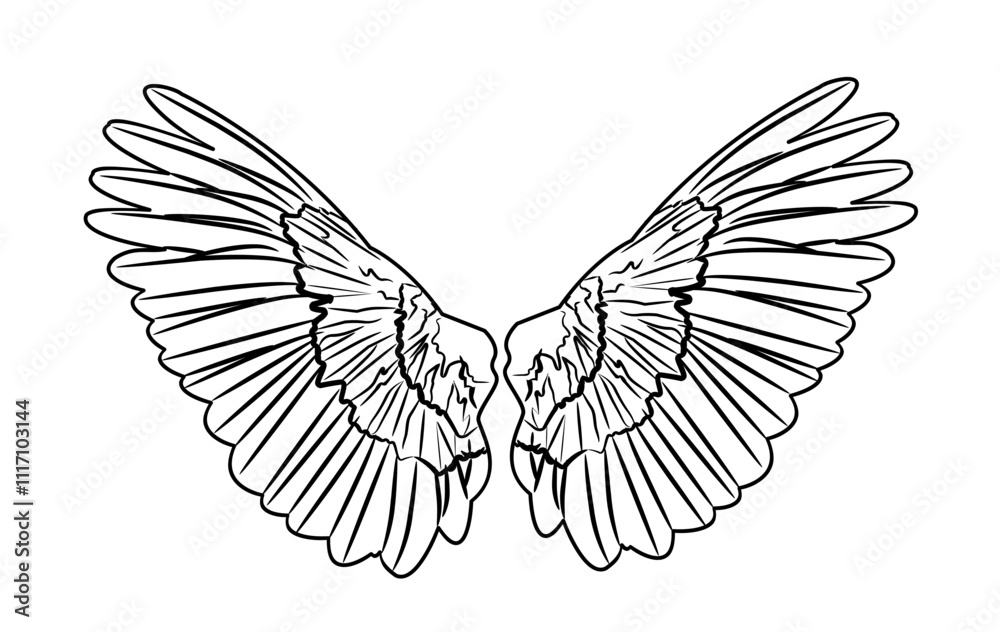 Obraz premium Angel Wings outline