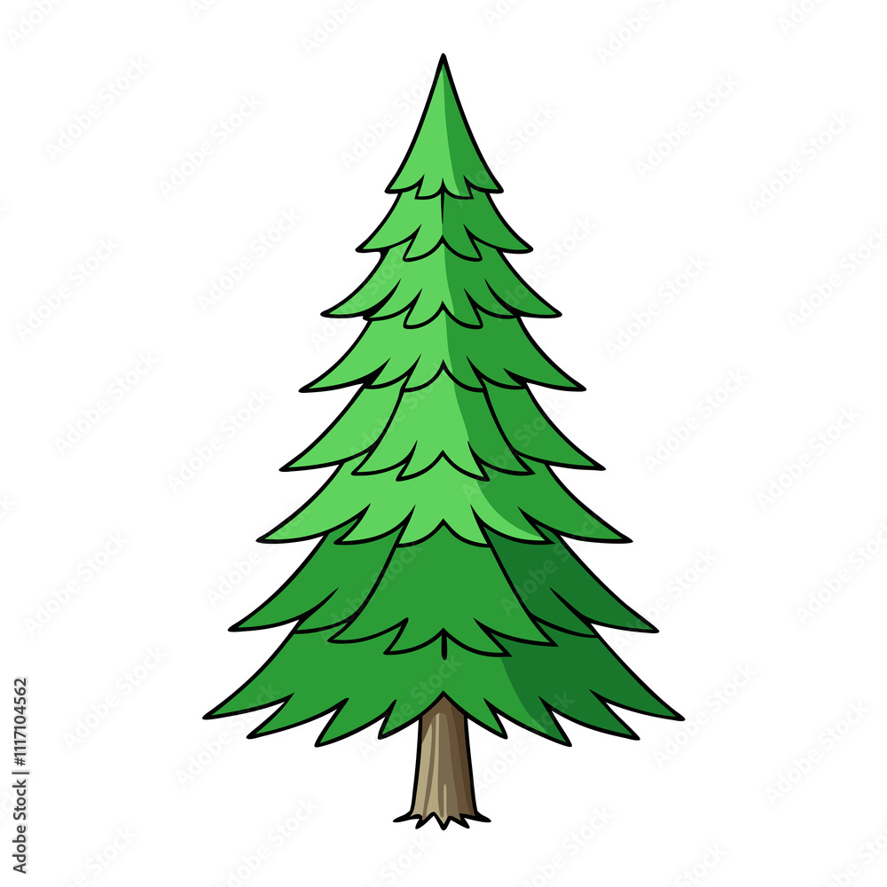 douglas fir tree vector illustration douglas fir tree vector illustration