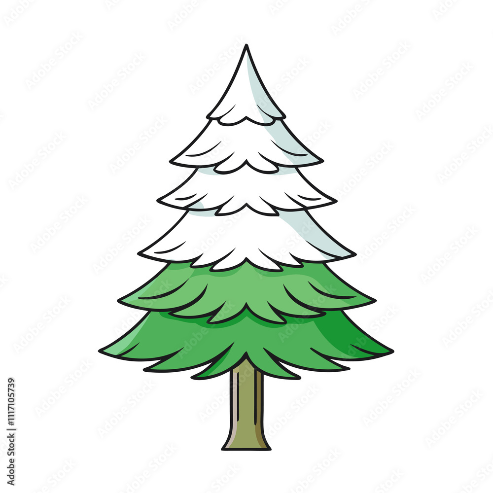 white pine tree vector illustration white pine tree vector illustration