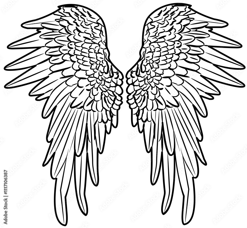 Obraz premium Angel Wings outline