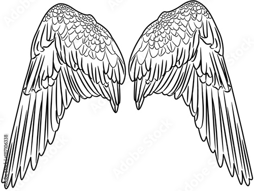 Angel Wings outline