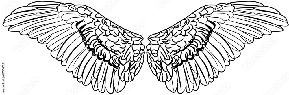 Angel Wings outline Angel Wings outline