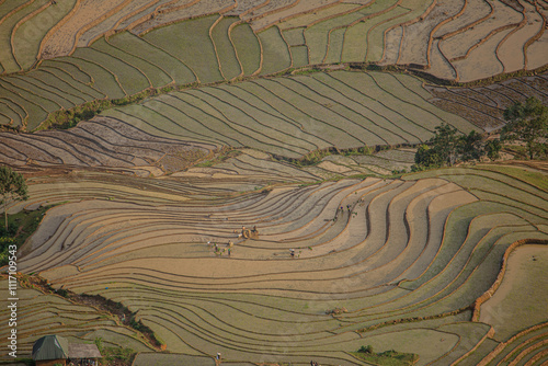 Plowing the fields for the new rice crop in Bat Xat,Lao Cai, this is manual and hard work. Photo taken in Lao Cai ,Vietnam. photo