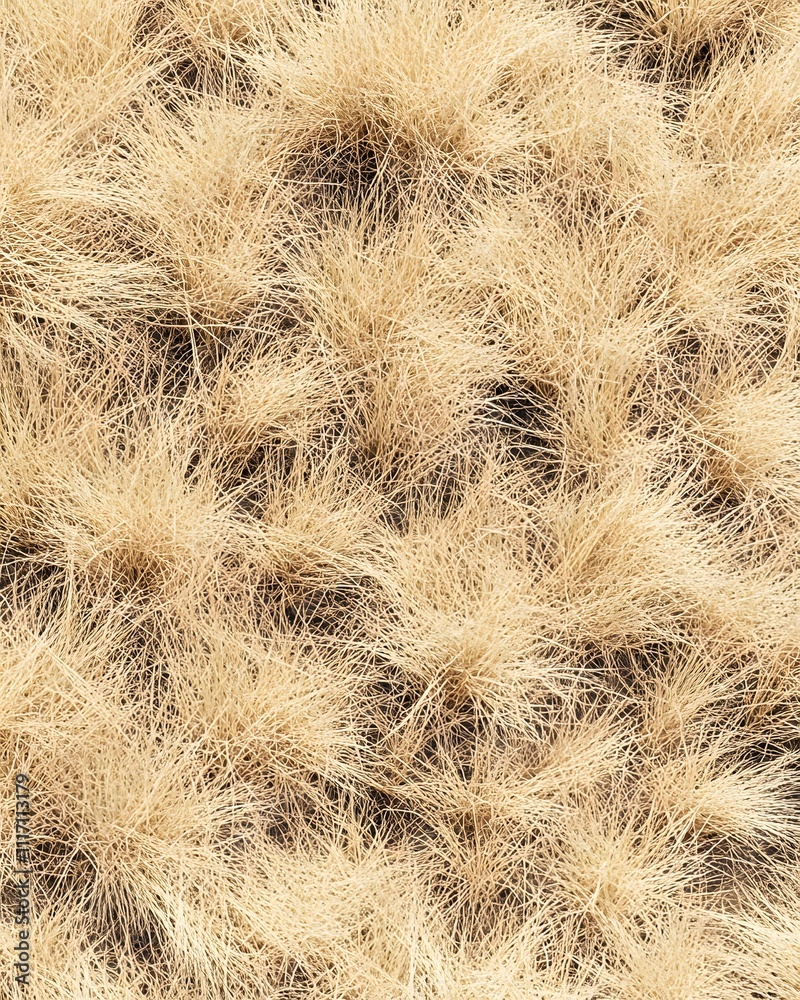 A close-up view of dry, golden grass textures, creating a natural, earthy aesthetic. A close-up view of dry, golden grass textures, creating a natural, earthy aesthetic.