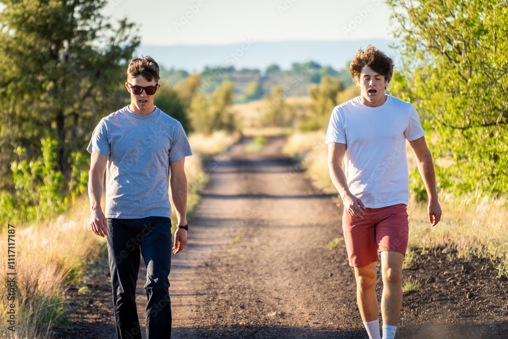 Two friends enjoying a sunny stroll along a rural pathway at golden hour Two friends enjoying a sunny stroll along a rural pathway at golden hour