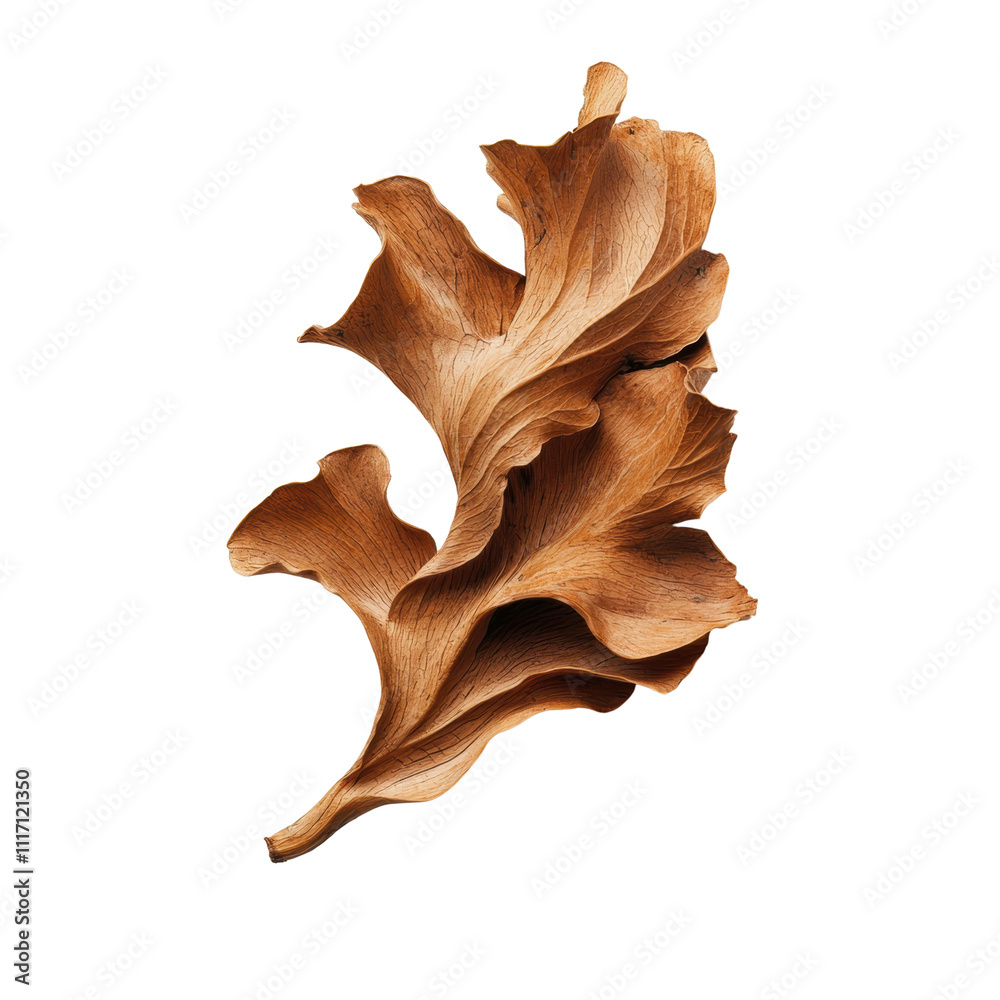 Fototapeta premium Intricate wooden leaf sculpture with natural textures