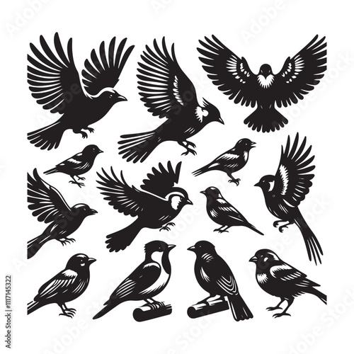Set of bird silhouette vector. Flat vector icons of bird silhouettes. Birds flying.