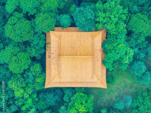 Overlooking golden roof of Chinese ancient architecture photo