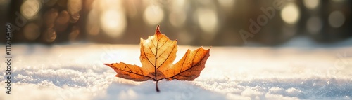 Ethereal Autumnscape Tranquil Maple Leaf on Snowy Forest Floor - Serene Nature Photography for Calendars, Cards and Artistic Themes photo