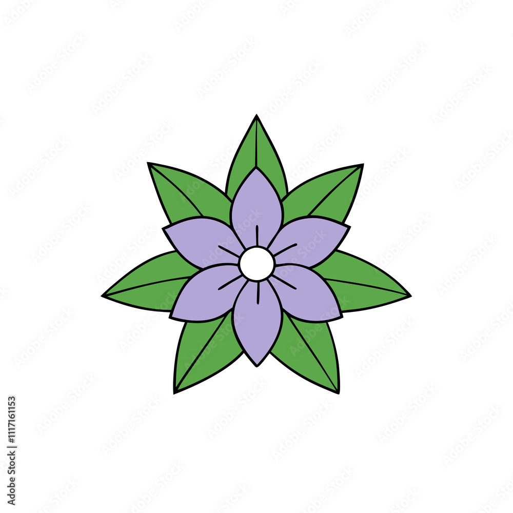 clematis vector illustration clematis vector illustration