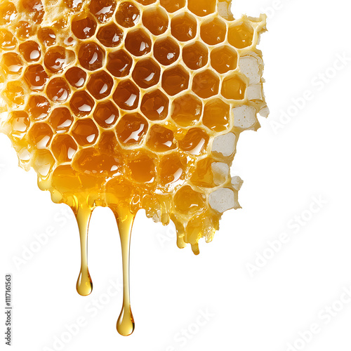 A melting honeycomb dripping honey, side view. - Buatkan dengan tema lainnya yang lebih bagus dan relevan, setting: rendering, game asset element, octane render. white background.  photo