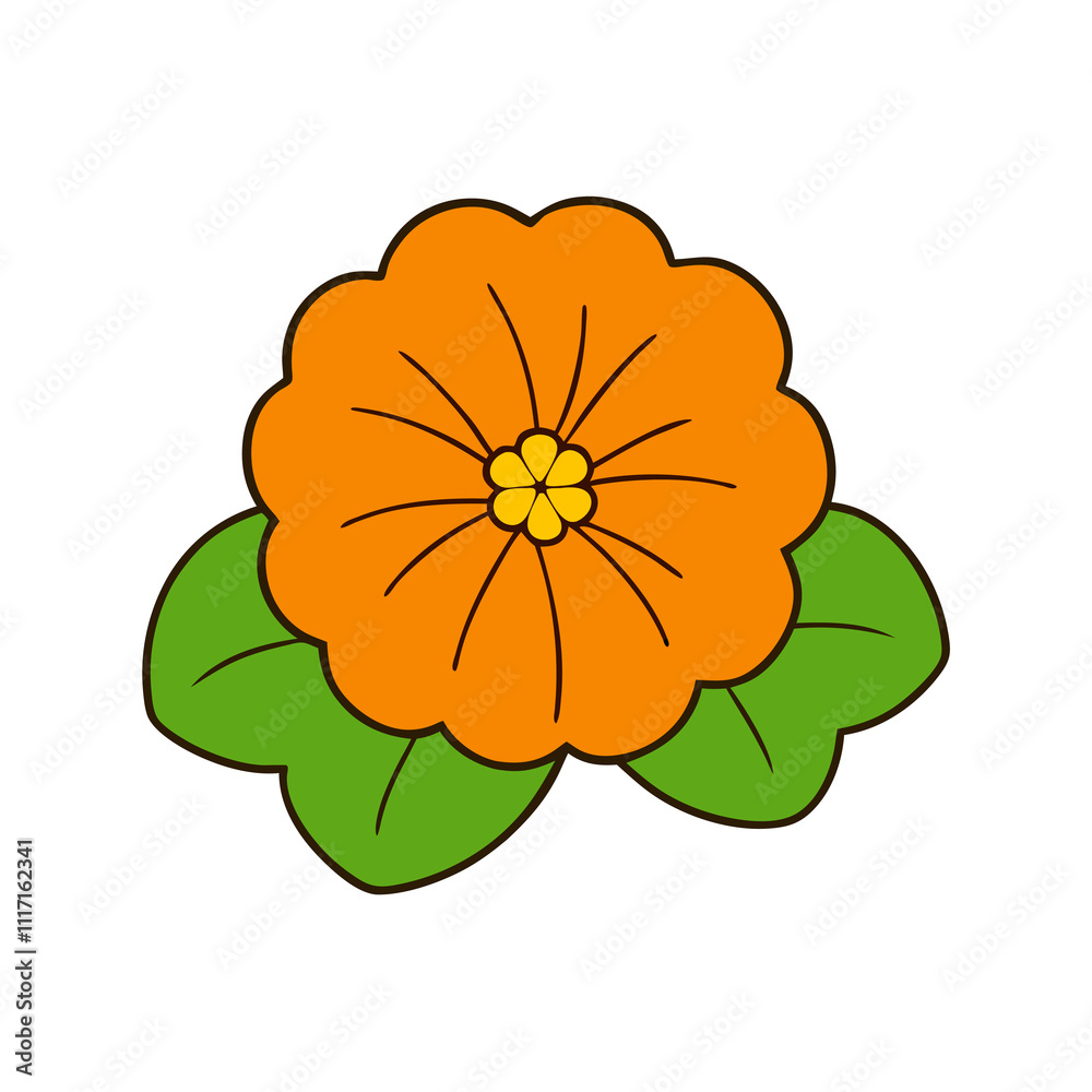 nasturtium vector illustration. nasturtium vector illustration.