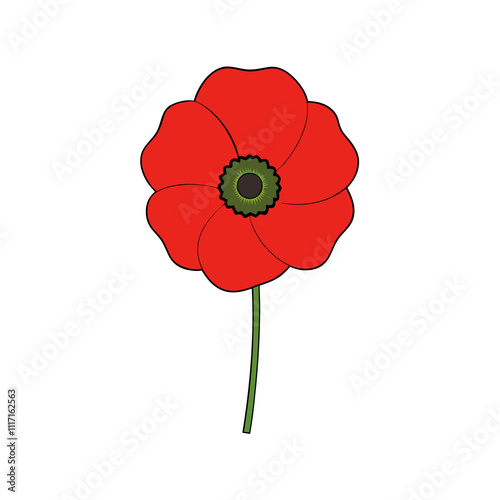 poppy vector illustration 