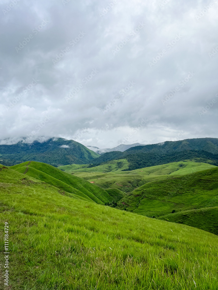 The beautiful mountiane grass at Phu Hua Lon, Xaysomboun Province, Lao PDR. tourism of laos. The beautiful mountiane grass at Phu Hua Lon, Xaysomboun Province, Lao PDR. tourism of laos.
