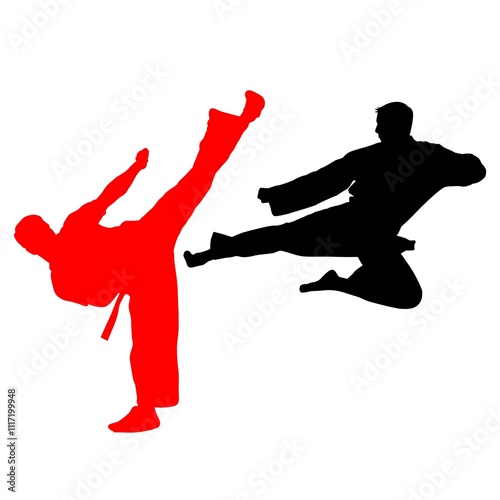 Two people compete in a fight involving silat, taekwondo, karate, and martial arts, each showcasing their unique techniques.