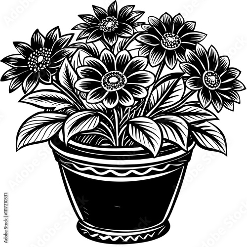 flower in a pot