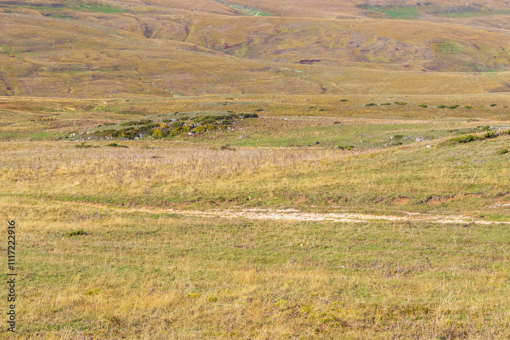 Obraz premium autumn, mountain nature park, sunny day, walk through an alpine meadow with an overview of the area