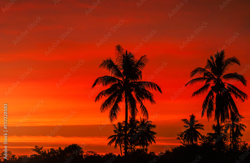 Silhouette coconut palm trees on the beach in twilight sunset Silhouette coconut palm trees on the beach in twilight sunset