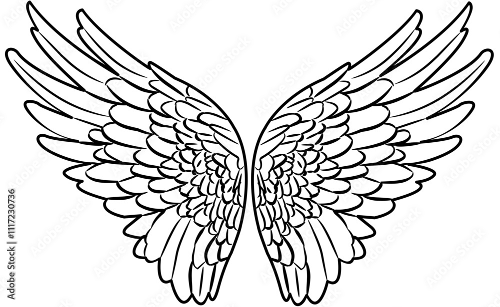 Obraz premium Angel Wings coloring with white color