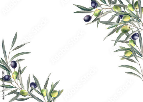 Olive branch with leaves and ripe berries. Watercolor hand-painted illustration. Banner, template, horizontal frame made of olives. Botanical Mediterranean clipart for a postcard on a white background