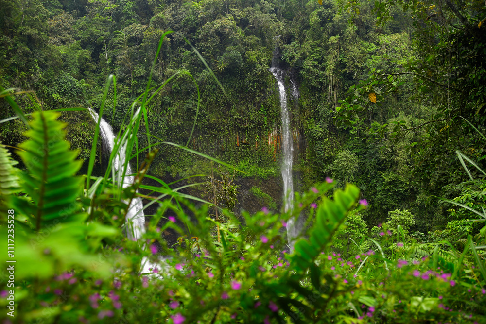 Fototapeta premium a waterfall that comes out of a rock cliff in the middle of the forest