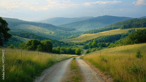 Country road passing through rolling hills and dense green forests