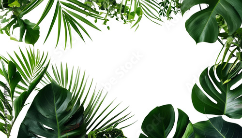 Lush green leaves frame dark background, creating vibrant look