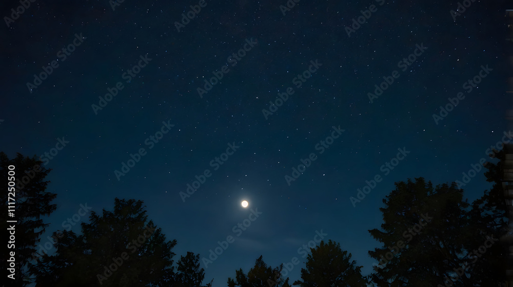 sky with stars sky with stars