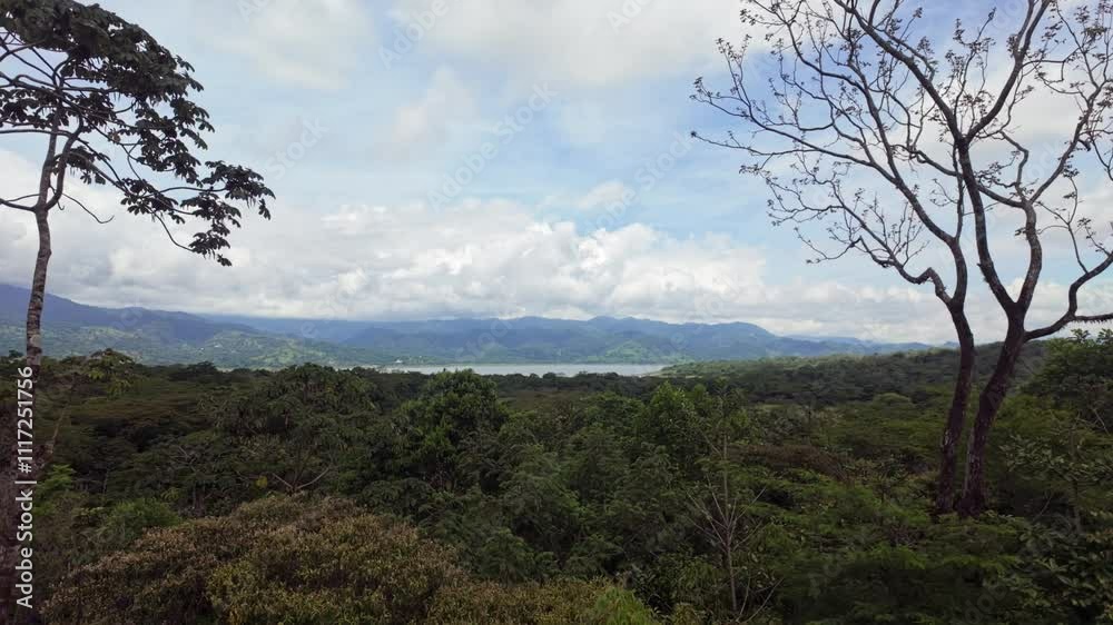 Gorgeous view of the Arenal Volcano National Park's rich tropical landscape with the Arenal Lake in the background in Costa Rica. Gorgeous view of the Arenal Volcano National Park's rich tropical landscape with the Arenal Lake in the background in Costa Rica.