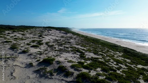 Drone aerial landscape of sandy dunes restoration with plants and waves breaking along shoreline ocean beach sky Central Coast Australia nature holidays photo