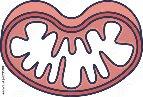 Illustration of mitochondrion with inner membrane folds, representing energy production.