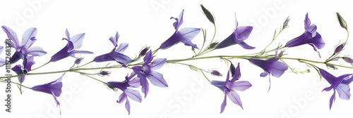 Purple Flower Branch Illustration