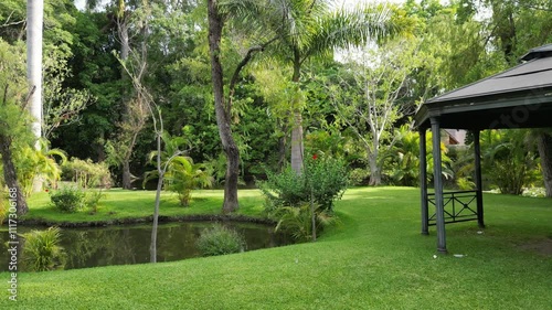 Lush green park with a bridge and a pond