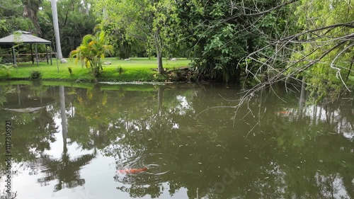 Pond with a wooden bridge and lily pads