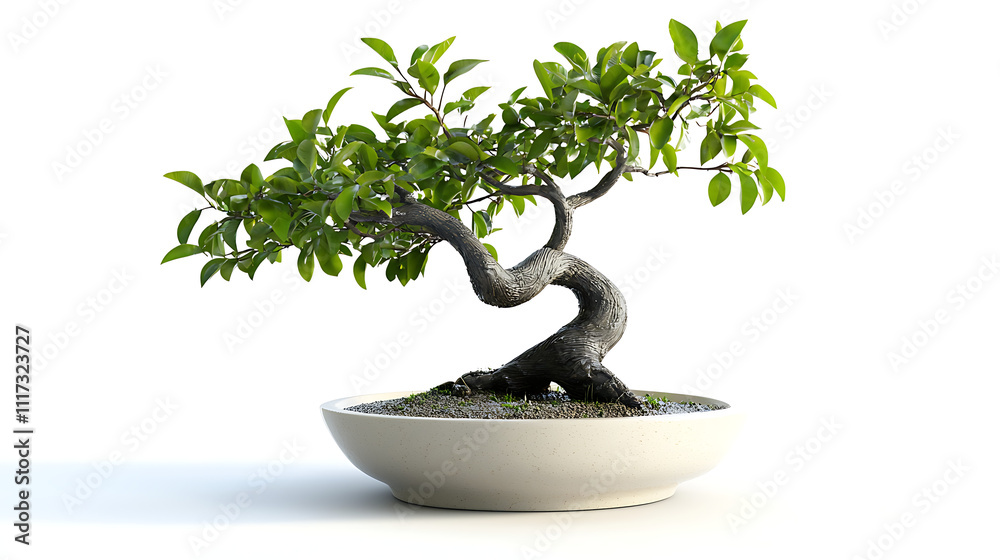 A small white bowl with a tree in it A small white bowl with a tree in it