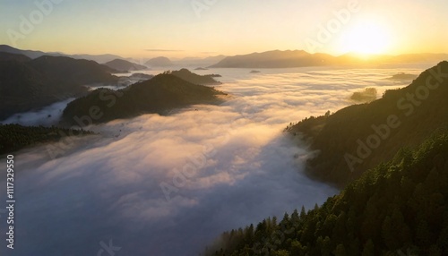 Aerial Mountain in Morning Fog