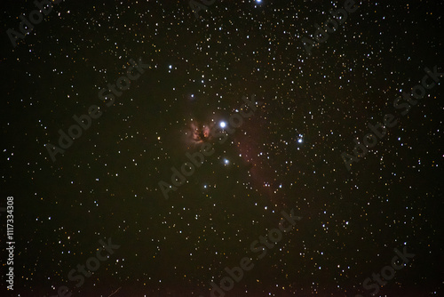 オリオン座の火炎星雲と馬頭星雲 photo