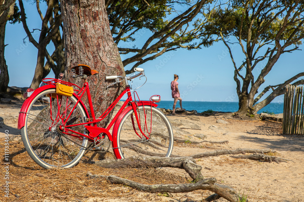 Fototapeta premium Vieux vélo au bord de la mer sur la côte vendéenne en France.
