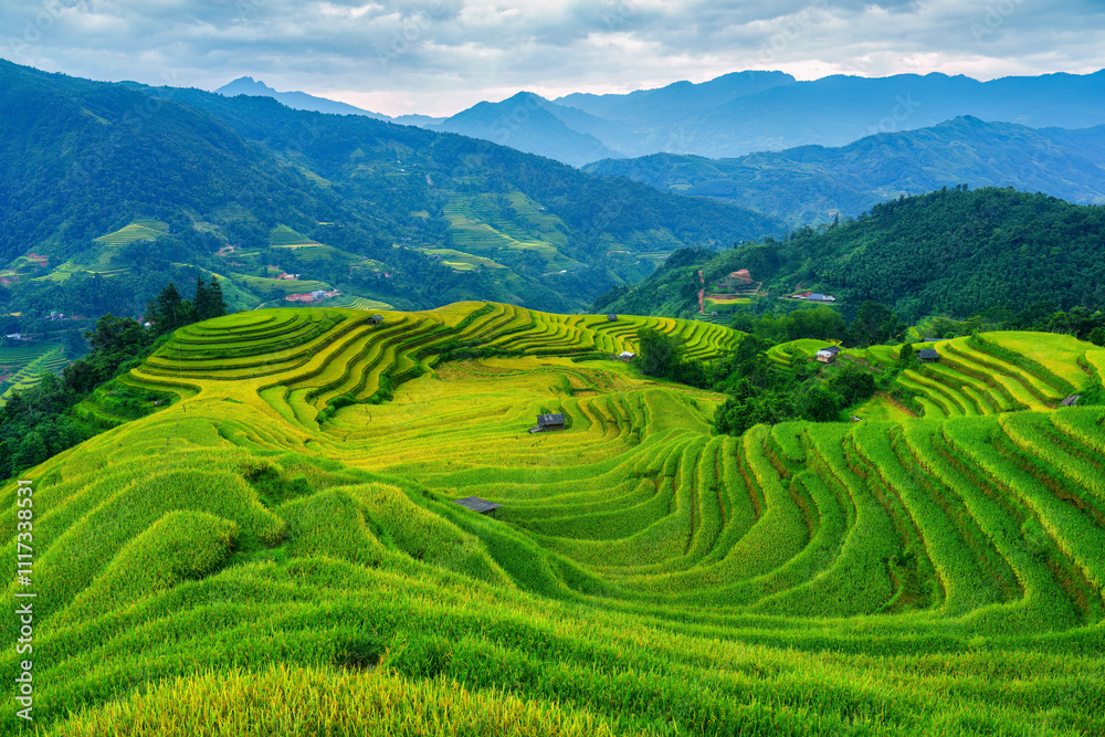 Lush green rice field terraces with barn on highland in countryside at Vietnam Lush green rice field terraces with barn on highland in countryside at Vietnam