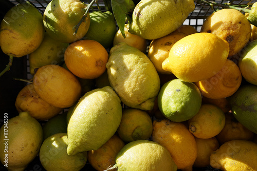 Fresh Lemons and Limes in Sunlight