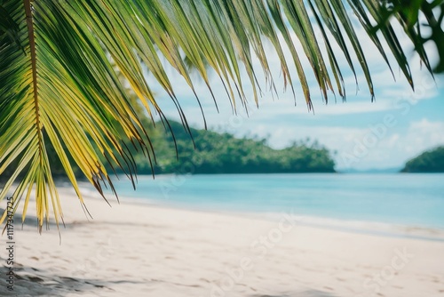 A serene beach scene with palm leaves framing a tranquil blue ocean and sandy shore. photo