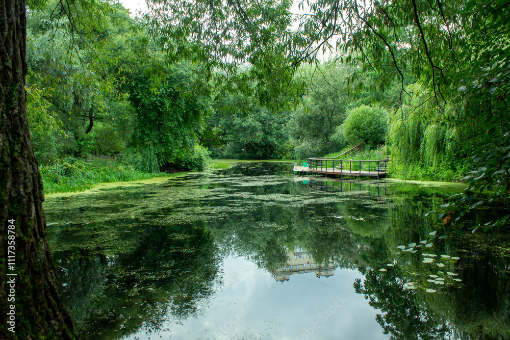 Obraz premium pond in the park