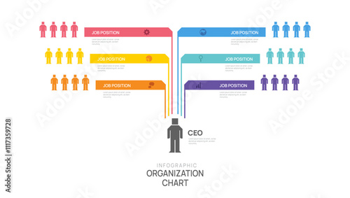 organization chart Infographic template with business avatar icons. vector illustration.
