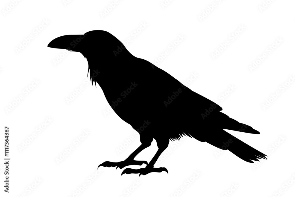 Fototapeta premium Raven vector silhouette, crow black icon, halloween bird illustration isolated on white
