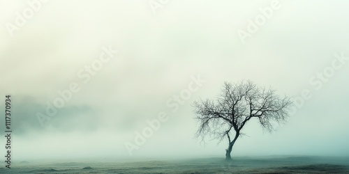 Lone bare tree stands in a unique foggy barren landscape, showcasing the distinctive features of Alvar. This image highlights the beauty of Alvar with its solitary tree amidst the fog. photo