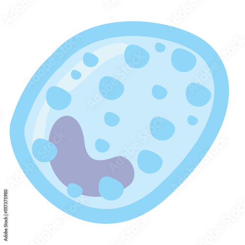 Basophil. Vector Illustration