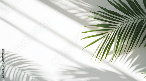 white background with a palm leaf shadow. A simple abstract geometric shape in the foreground. Minimalist background for product presentation, mock-up, or design template.