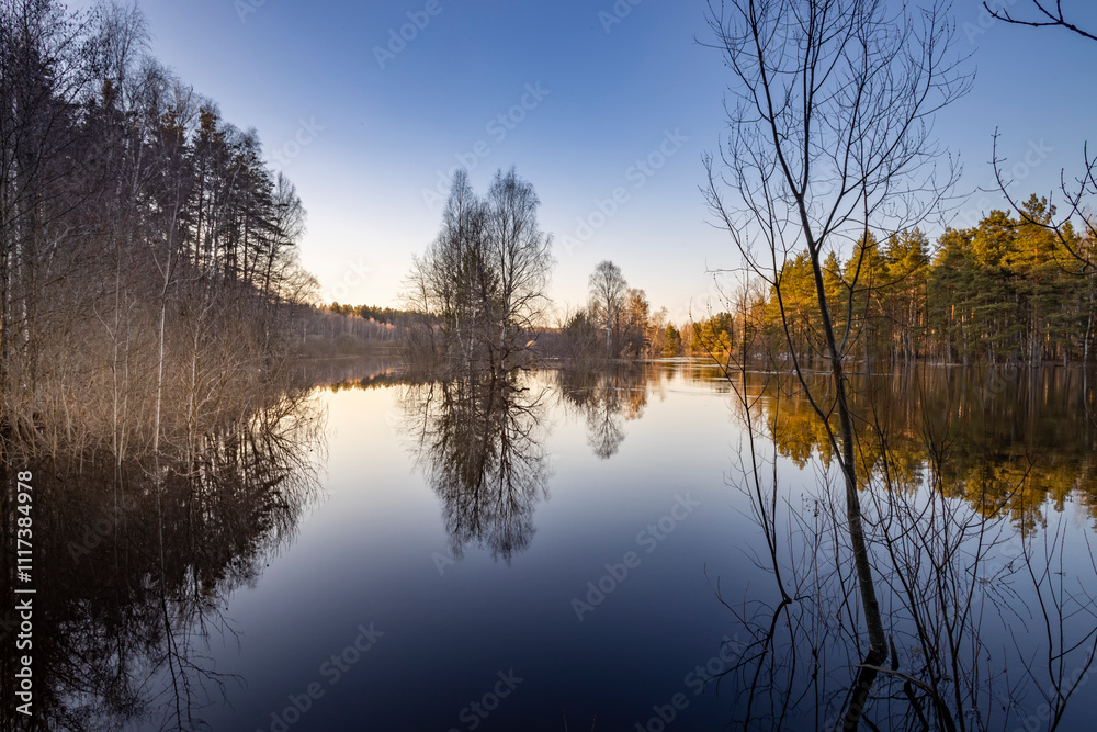 Obraz premium Calm lake with trees in the background