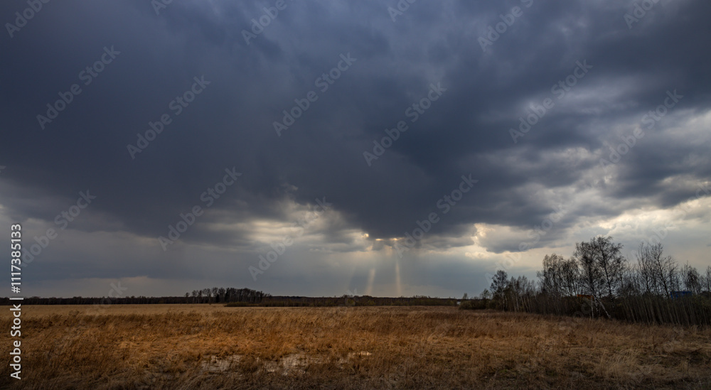 Field of grass is covered in clouds and the sky is dark Field of grass is covered in clouds and the sky is dark