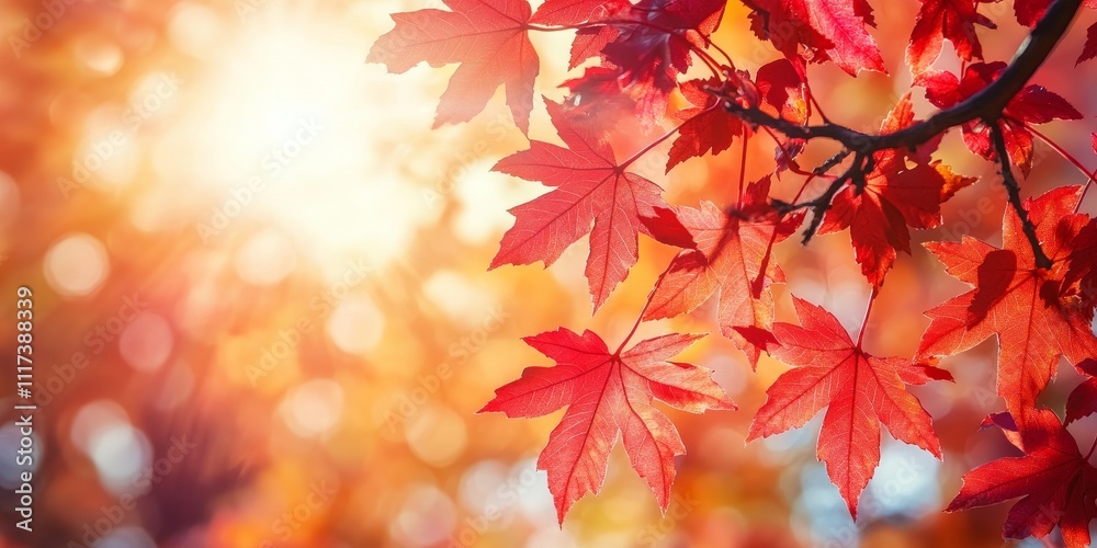 Vibrant red leaves create a stunning backdrop on a sunny autumn day, showcasing the beauty of nature s red leaves during this enchanting season. Enjoy the brilliance of red leaves in the sunlight. Vibrant red leaves create a stunning backdrop on a sunny autumn day, showcasing the beauty of nature s red leaves during this enchanting season. Enjoy the brilliance of red leaves in the sunlight.